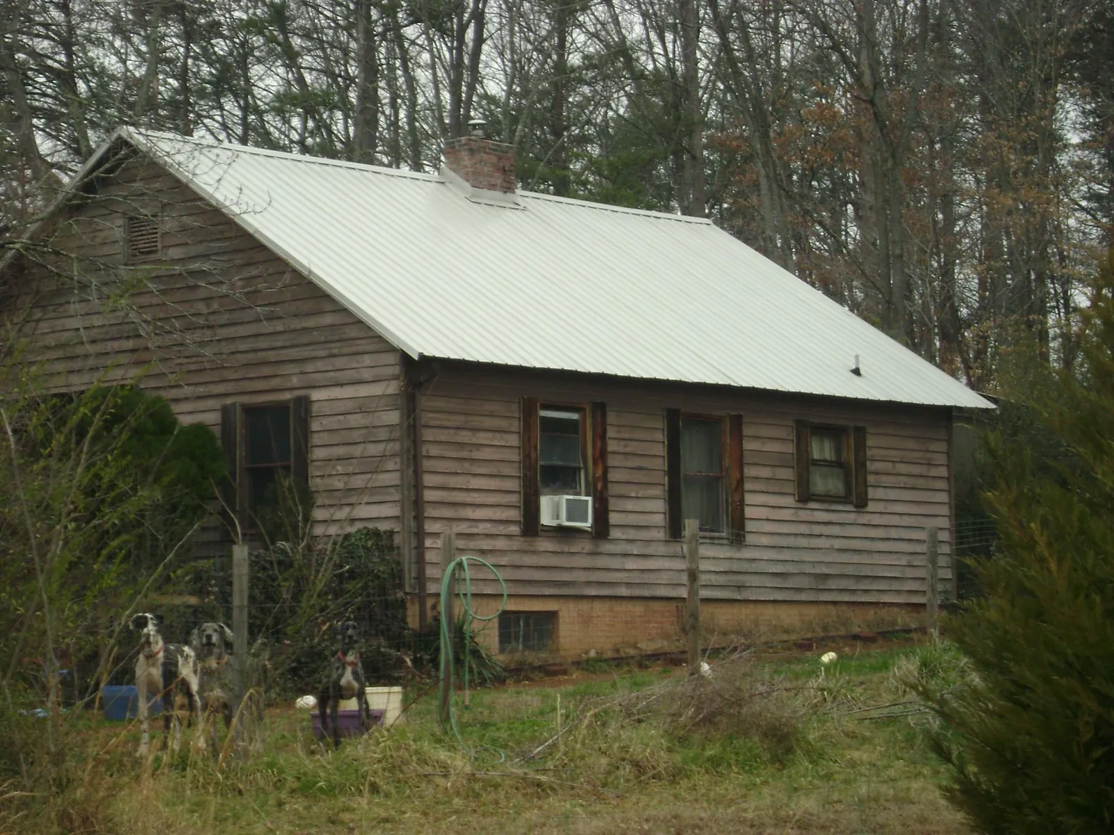 White metal roof on an old wood sided farmhouse, from a Asphalt Shingle Roof Repair job in Swiftwater
